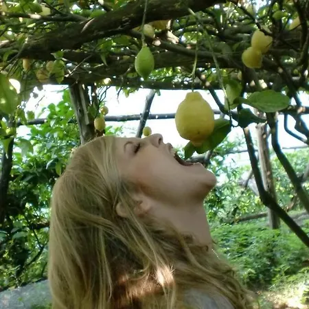 Casa Milena Appartement Sorrento