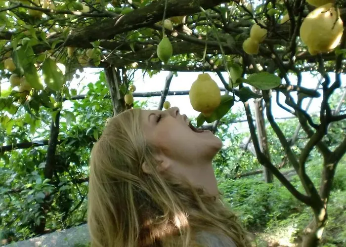 Casa Milena Appartamento Sorrento